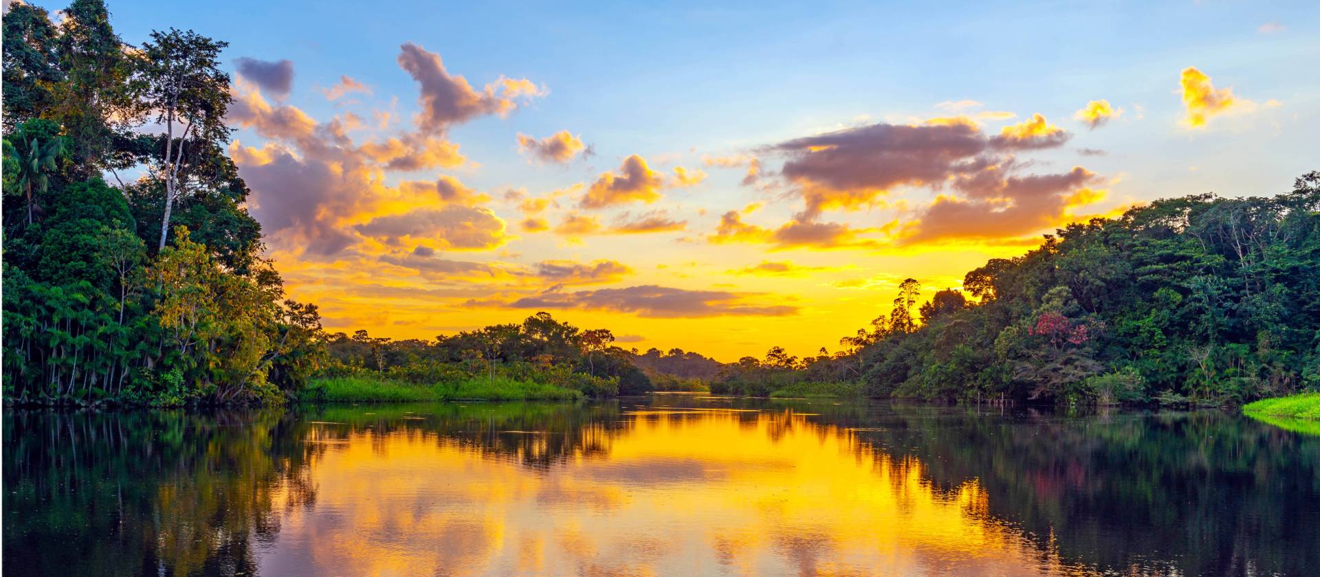 The sheer beauty of Yasuni National Park at sunset