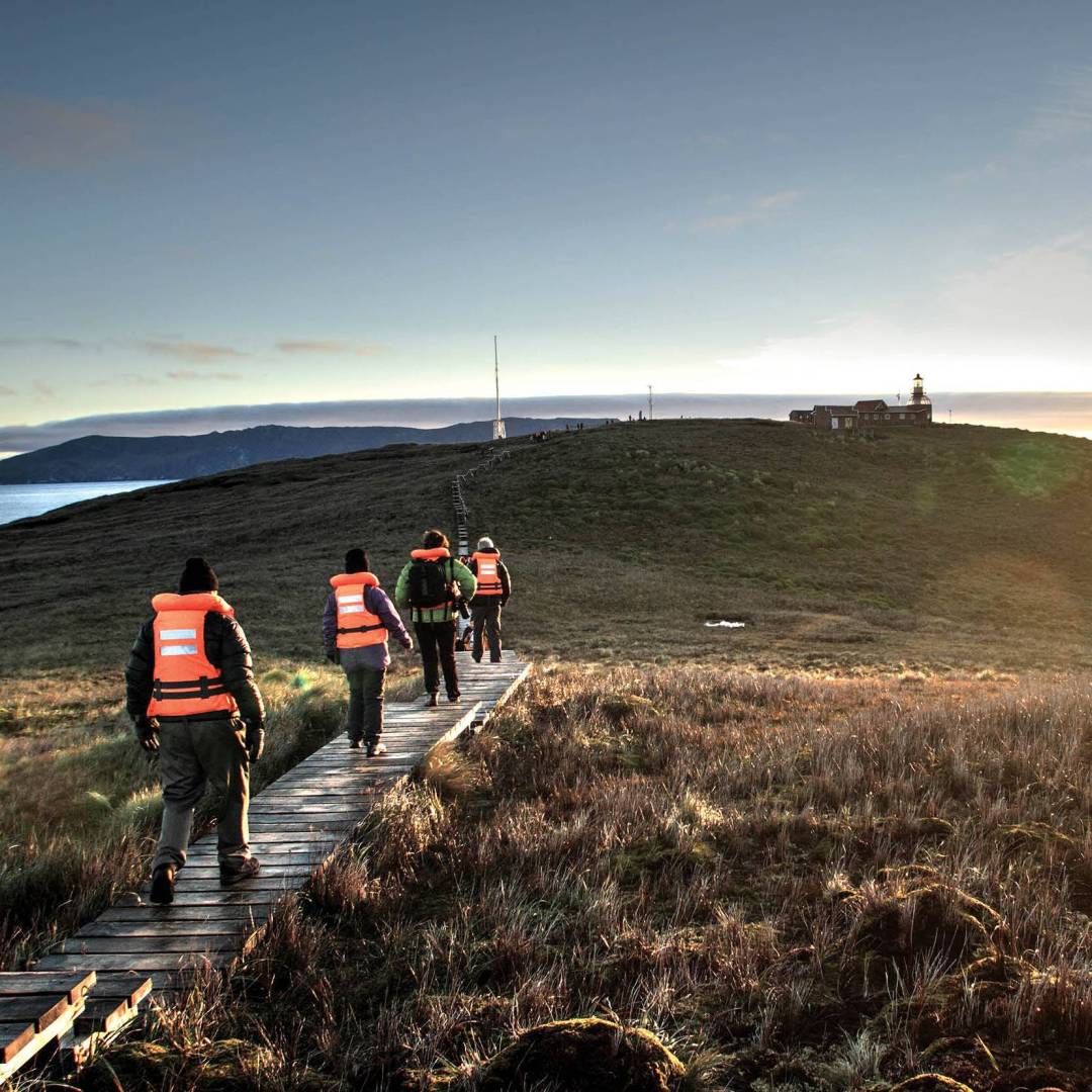 Exploring the beautiful Cape Horn with Australis