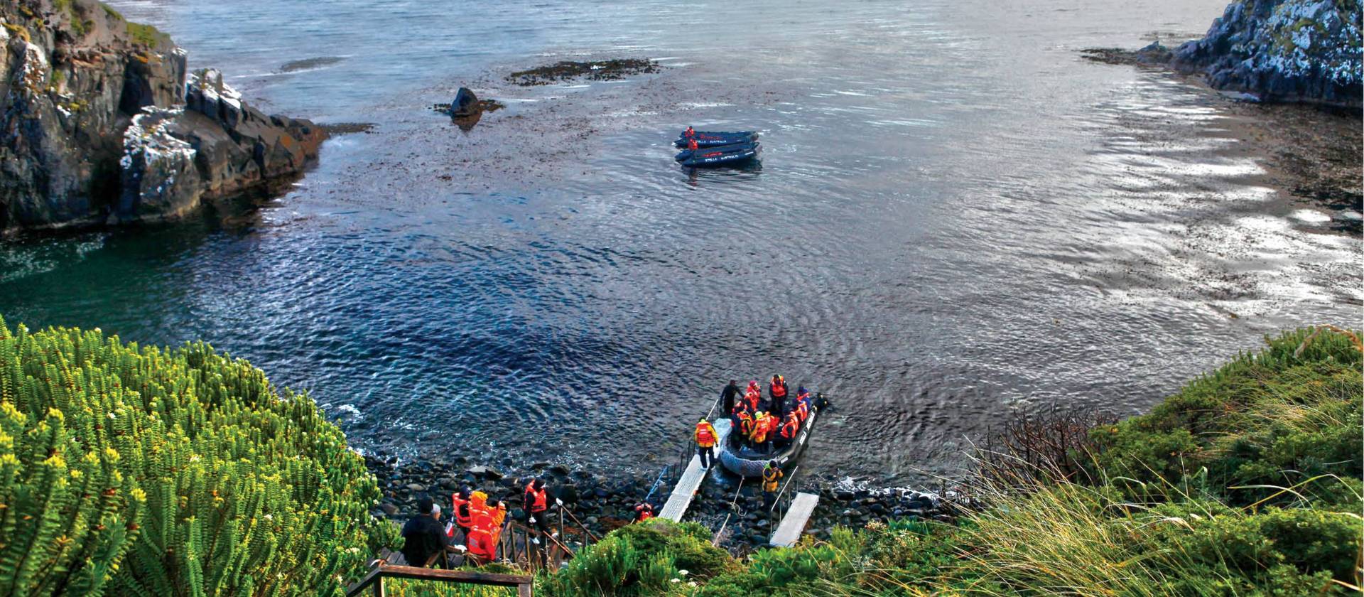 Lush colours as we explore Cabo de Hornos with Australis