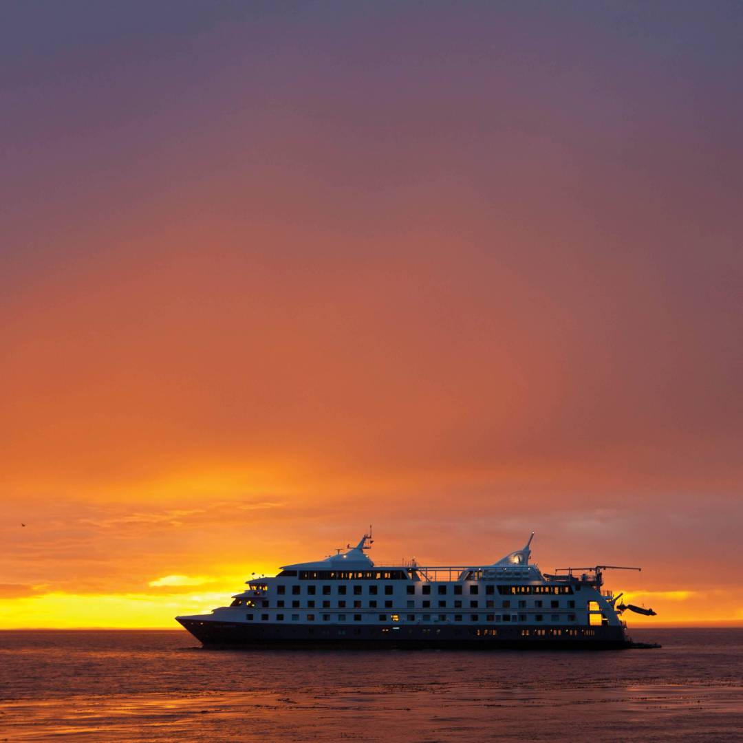 Views of Stella Australis as the sun sets