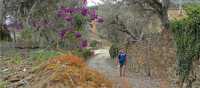Rambling in the Douro Valley