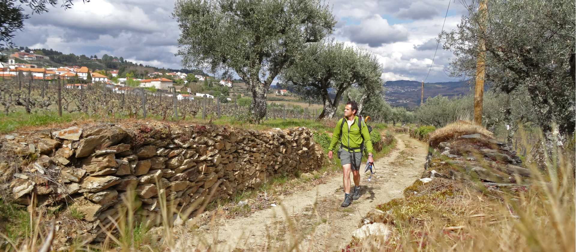 A hiker takes in the scenery of the Douro Valley