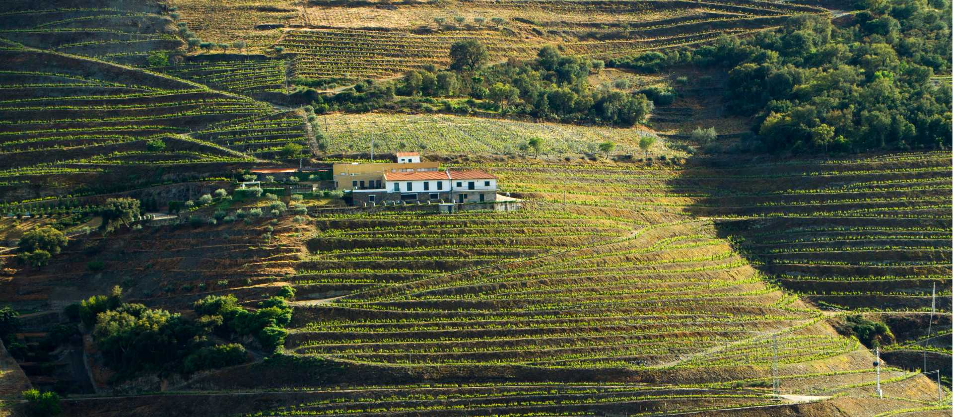 A quinta amidst the terraced Douro vineyards | Andre Carvalho
