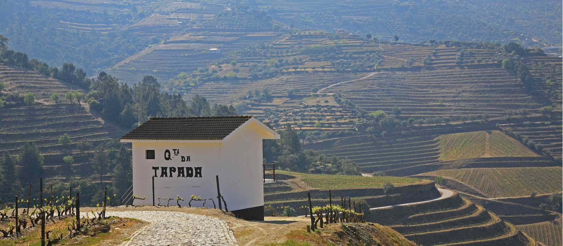 Walking through the stunning Douro vineyards