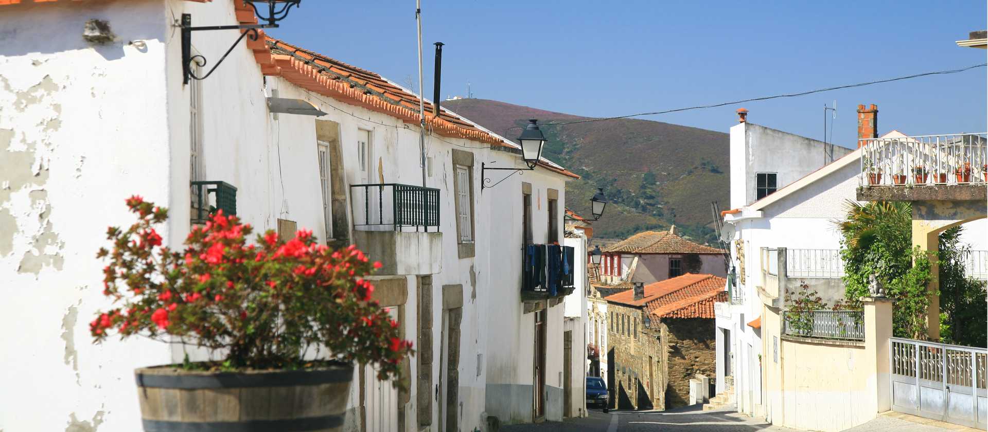 The beautiful village of Provesende