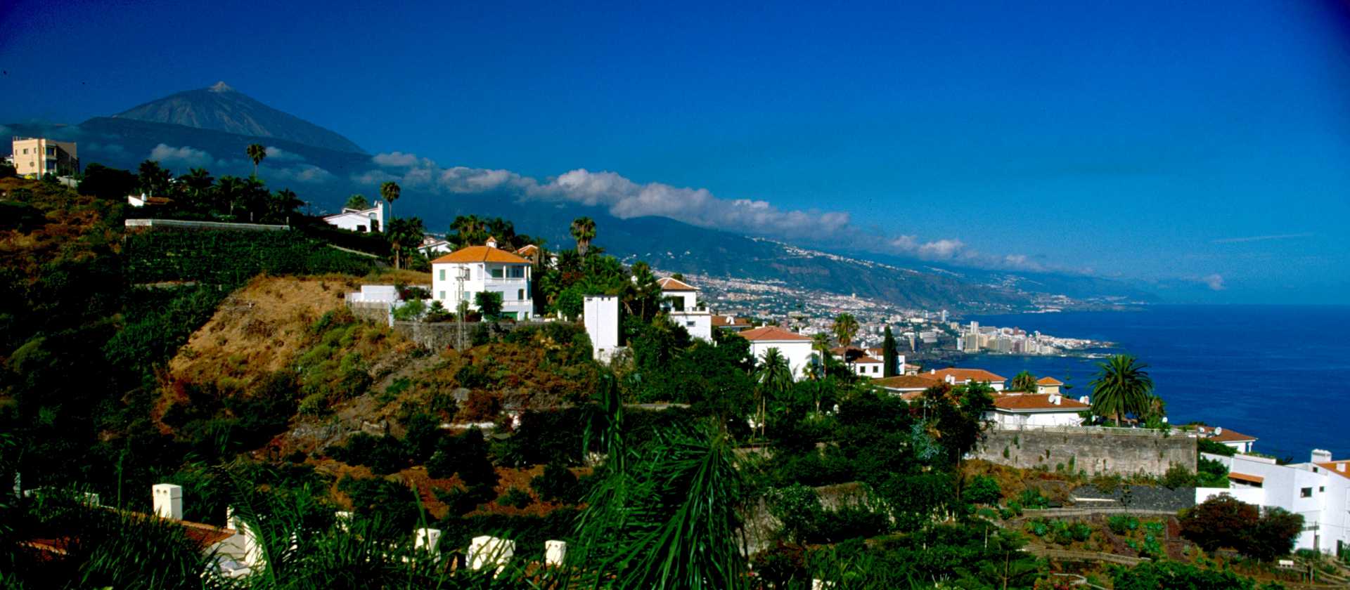 Mount Teide from the coast