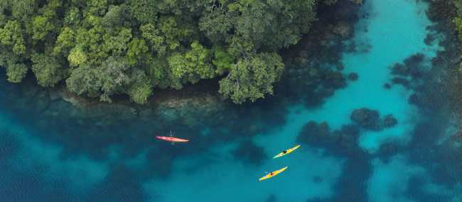Explore Palau by kayak
