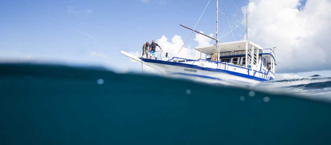 When to visit the Maldives: Best months for snorkelling, diving & sailing