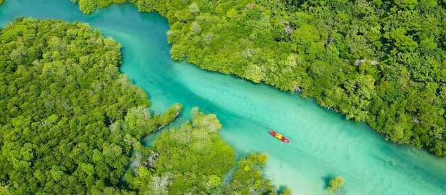 Kayaking the crystal clear waters around Phi Phi