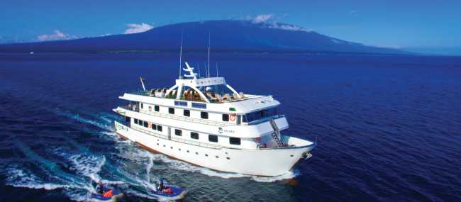Exterior views of Solaris